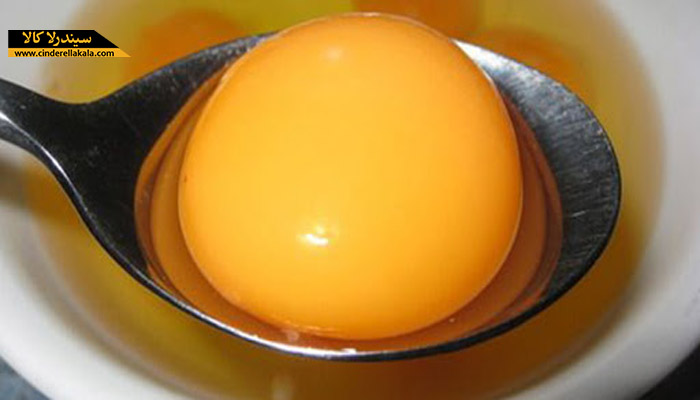 خواص تخم مرغ و درمان استریا